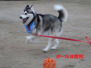 ボールは無視