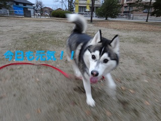 今日も元気だよ!