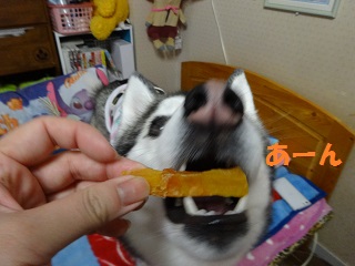 おやつでつられる