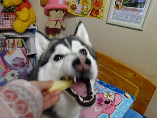 リンゴおかわり