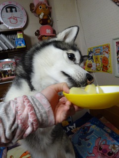 リンゴ食べる