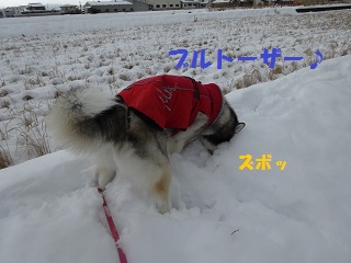 ブルトーザーごっこ