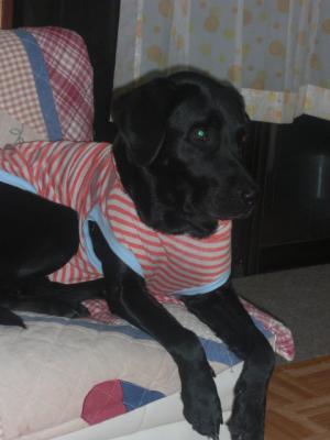 2012_11150004.jpg