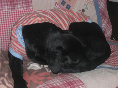 2012_11150008.jpg