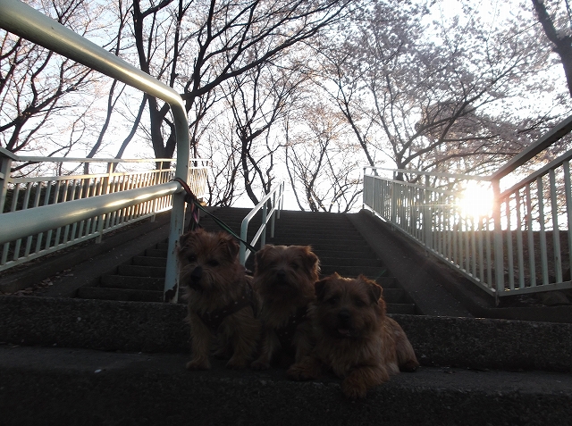 DSCF6745.jpg