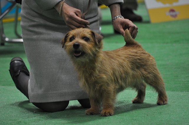 DSC_0139.jpg