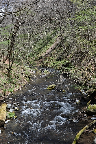 DSC_0723.jpg
