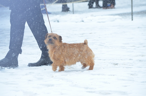 DSC_2607.jpg