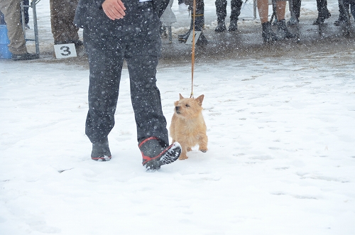 DSC_2629.jpg