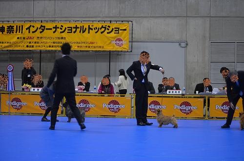 DSC_3011_201402121312358b4.jpg