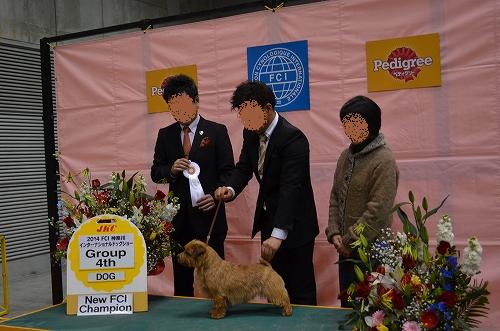 DSC_3036_201402121311228fe.jpg