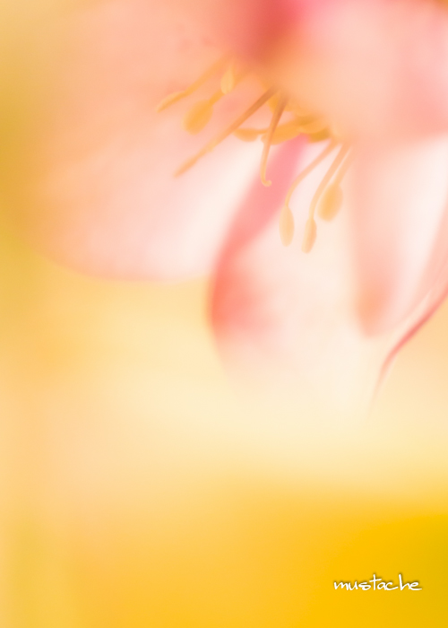 DSC_0017-1.jpg