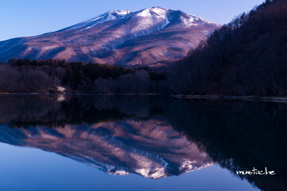 DSC_0040-1-3.jpg