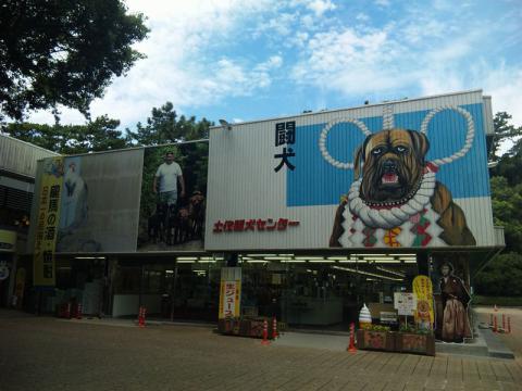 土佐闘犬センター (3)