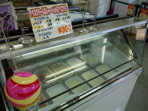 土佐闘犬センター (5)