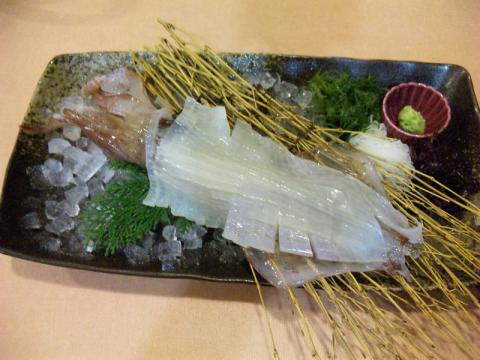 波戸岬 (11)