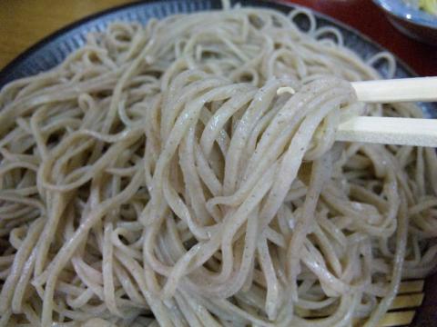 彩舞庵 (7)