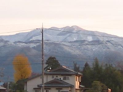 IMG_1220.jpg