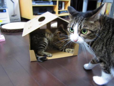 box02.jpg