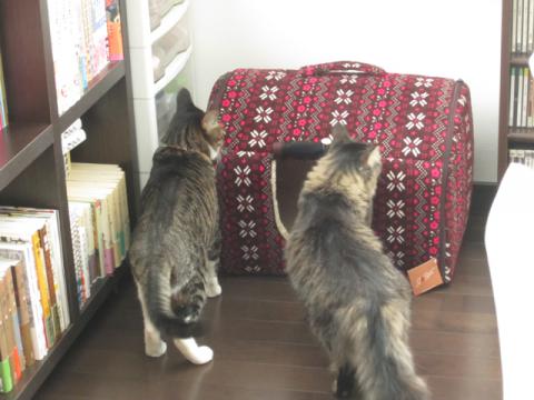 box03_20130114215106.jpg