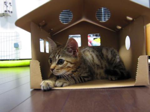 box03.jpg