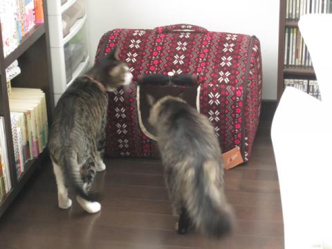 box04_20130114215106.jpg