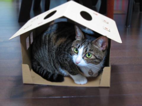 box04.jpg
