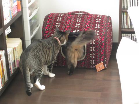 box05_20130114215107.jpg