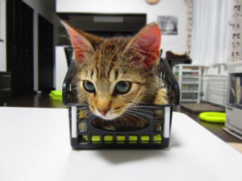 box05.jpg