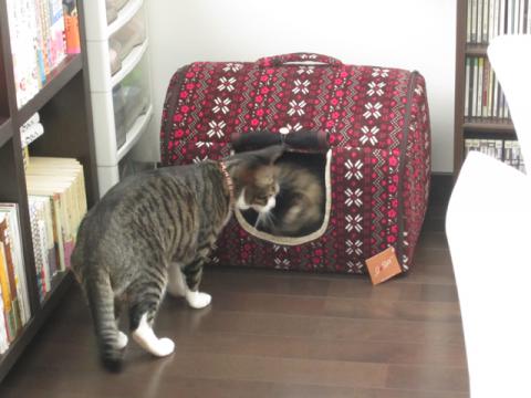 box06_20130114215047.jpg