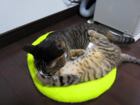 box06.jpg