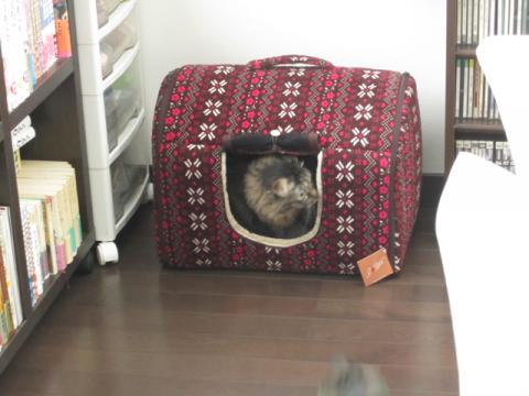 box07_20130114215048.jpg