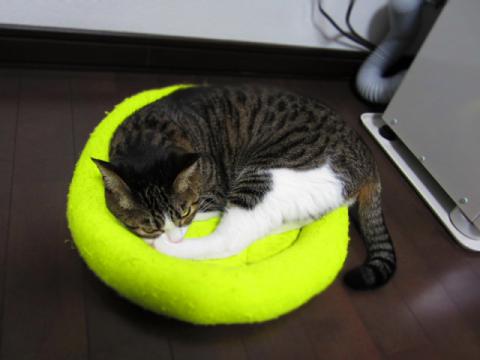 box07.jpg