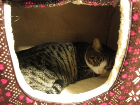 box08.jpg