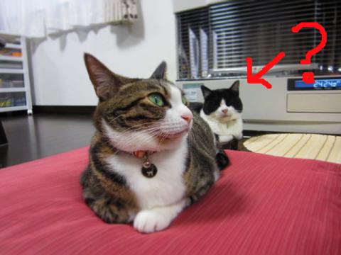 hhhppp01_20121126235017.jpg
