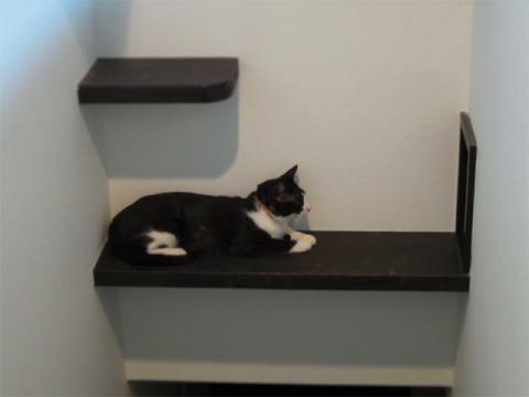 kidn04_20120724180819.jpg