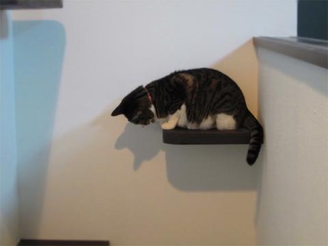 kidn05_20120724180818.jpg