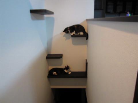 kidn06_20120724180818.jpg