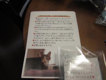 kuromame08.jpg