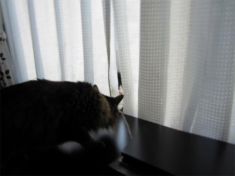 mt02.jpg