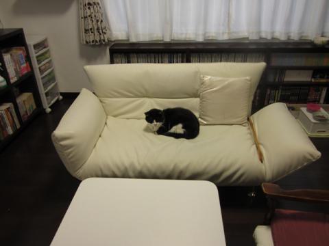 n_tanu04_2.jpg