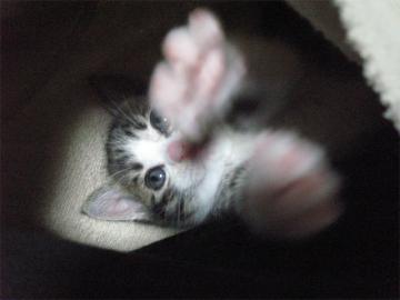 s02_20121217235806.jpg