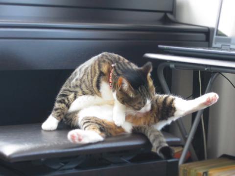 smtkc01_20120513213700.jpg