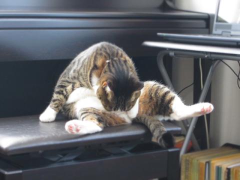 smtkc02_20120513213700.jpg