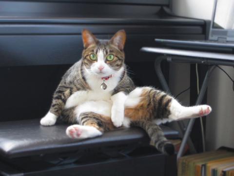 smtkc03_20120513213658.jpg