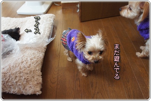 DSC05588.jpg