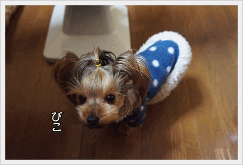 anigif_20121229213357.gif