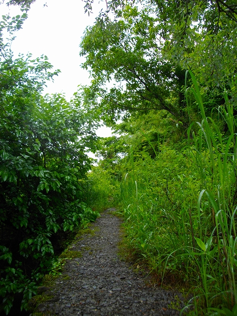 IMGP1037.jpg