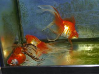 wide900_43_20120902125703.jpg
