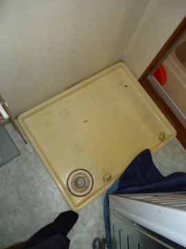 663.jpg